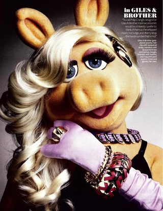 The Muppets still 2
