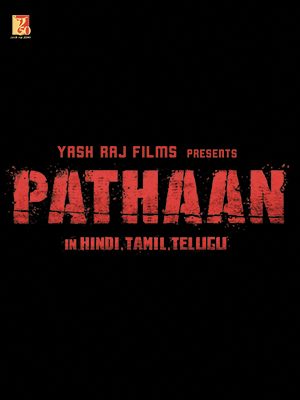 Pathaan still 5