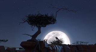 Zambezia still 7