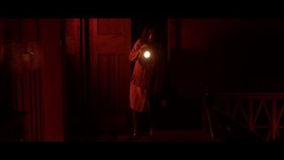 Custodes still 3