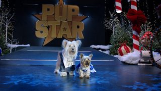 Puppy Star Christmas still 2