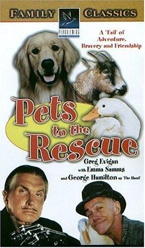 Pets still 4