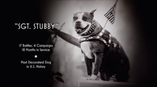 Sgt. Stubby: An American Hero still 8