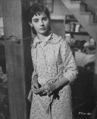 The Diary of Anne Frank still 2