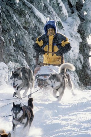 Snow Dogs still 3