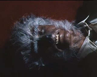 The Werewolf of Washington still 3