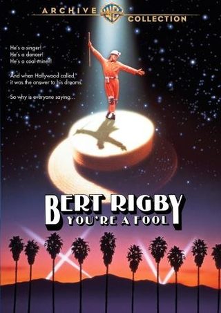 Bert Rigby, You're a Fool still 1