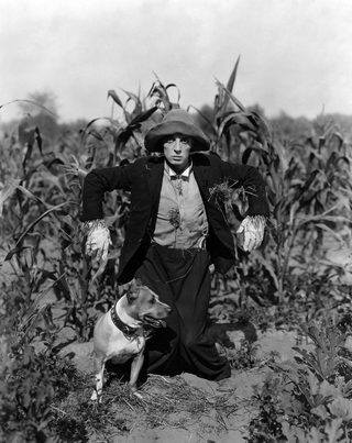 The Scarecrow still 1