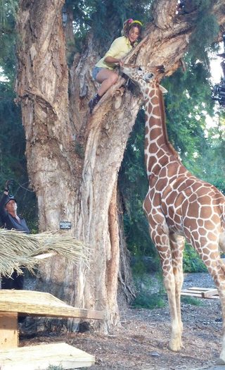Zoombies still 3