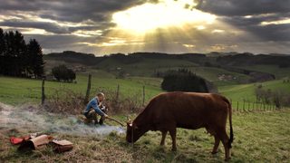 One Man and his Cow still 6