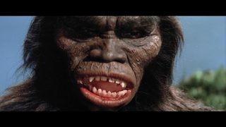 The Mighty Peking Man still 6