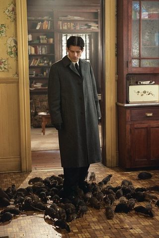 Willard still 7