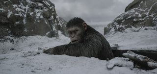 War for the Planet of the Apes still 8