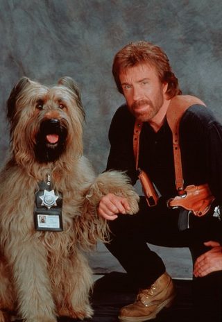 Top Dog still 4