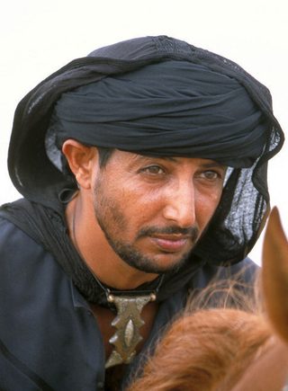 Young Black Stallion still 1