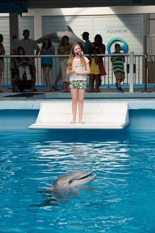 Dolphin Tale 2 still 6