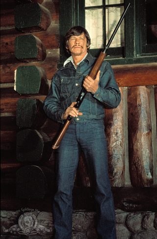 Mr. Majestyk still 7