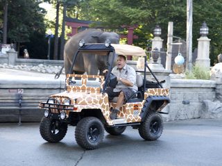 Zookeeper still 8