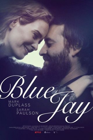 Blue Jay still 7