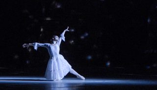 Joy Womack: The White Swan still 4