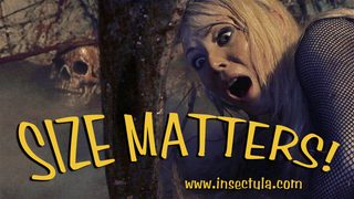 Insectula! still 4