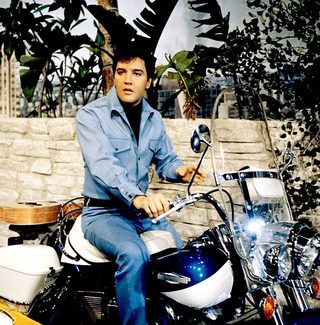 Clambake still 8