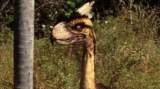 Terror Birds still 7