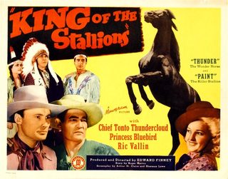 King of the Stallions still 5