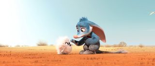 Bilby still 4