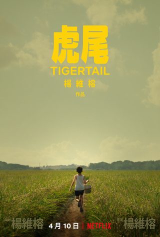 Tigertail still 8