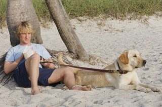 Marley & Me still 2
