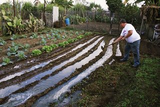 The Garden still 6
