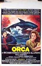 Orca still 4