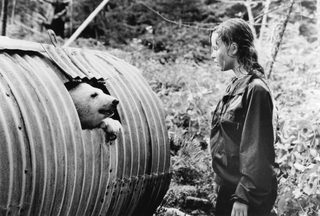 Alaska still 5