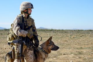 Megan Leavey still 4