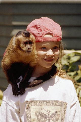 Monkey Trouble still 1