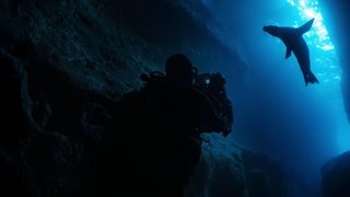 Guardians of the Galapagos still 2