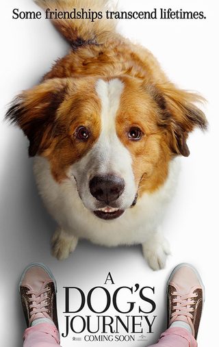 A Dog's Journey still 2