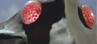 The X from Outer Space still 3