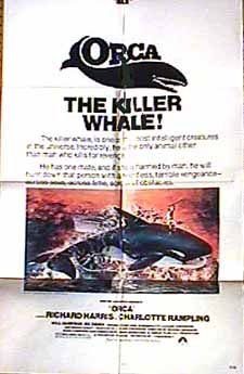 Orca still 5