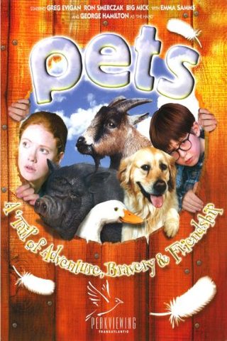 Pets still 1