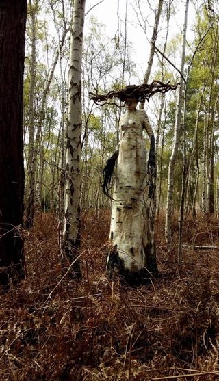 The Birch still 2