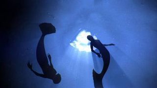 Mermaids: The Body Found still 8