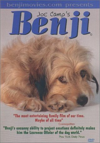 Benji still 4
