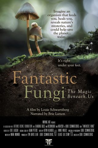 Fantastic Fungi still 1