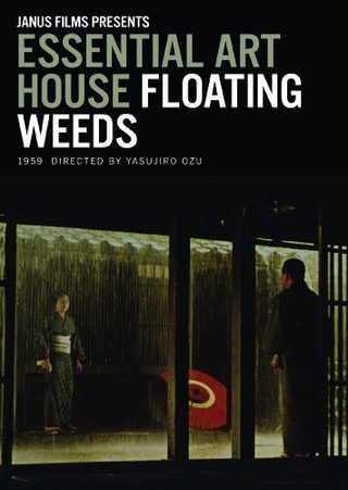 Floating Weeds still 2