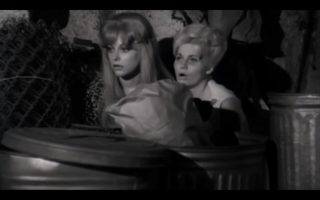 The Wild World of Batwoman still 2