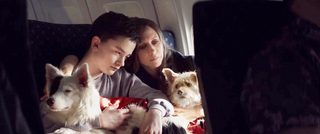 Boundaries still 5