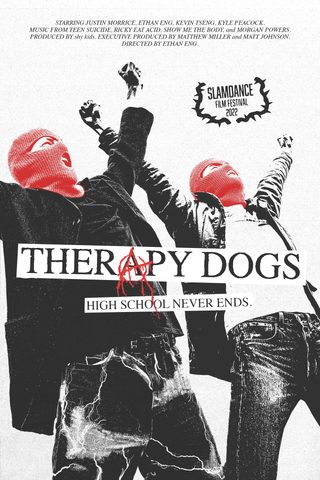 Therapy Dogs still 4