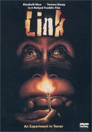 Link still 6